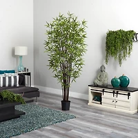 6.5ft. Potted Black Bamboo Silk Tree 