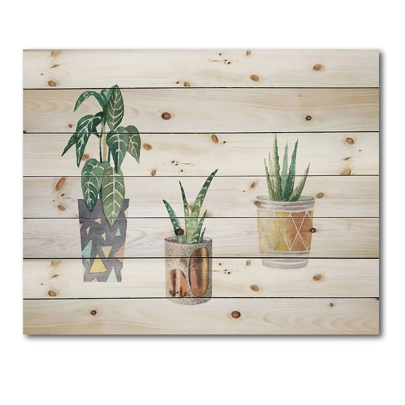 Designart - Three Potted Houseplants