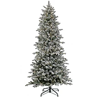 7ft. Pre-Lit Snowy Calton Pine Artificial Christmas Tree, Warm White LED Lights