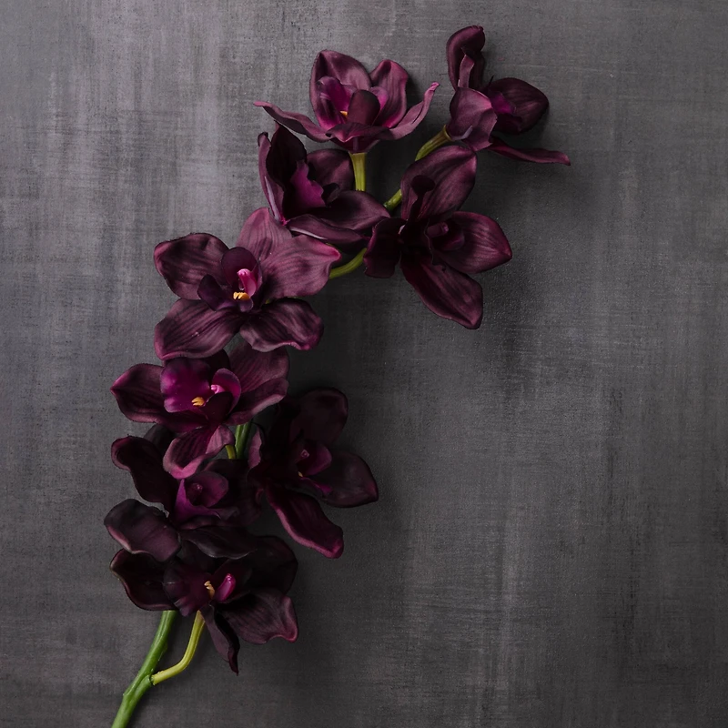 8 Pack: Plum Boat Orchid Spray by Ashland®