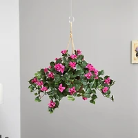 24" Pink Bougainvillea Hanging Basket
