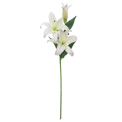 12 Pack: White Casablanca Lily Stem by Ashland®