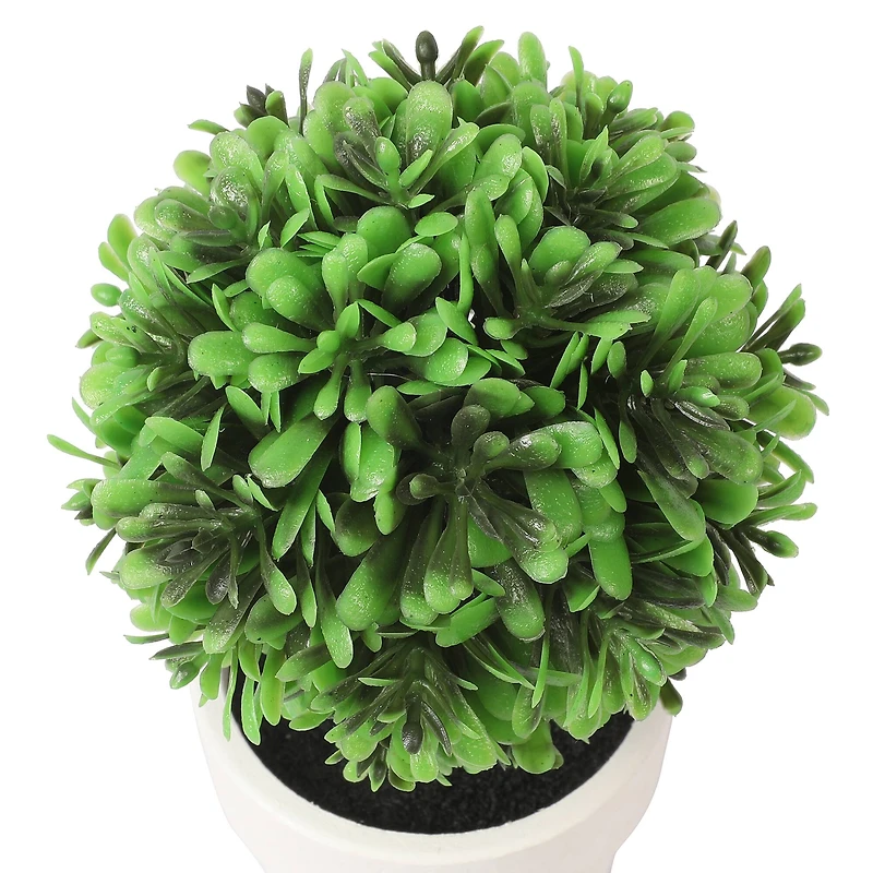 6.75" Premade Green Boxwood Ball Topiaries in Plastic Pots, 3ct. by Ashland®