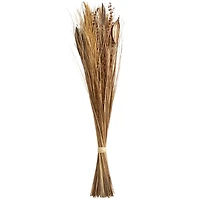 Brown Dried Large Leaf Plant & Branch Bundle