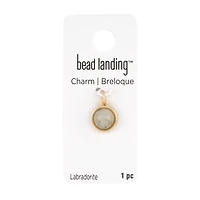 Round Labradorite Charm by Bead Landing™