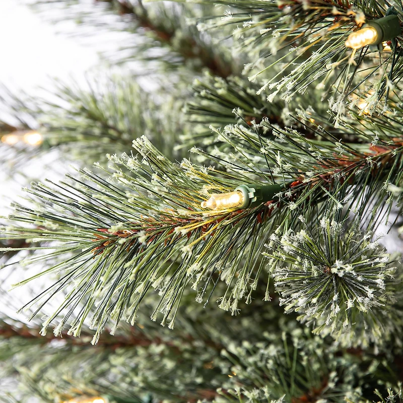 5ft. Pre-Lit Bowen Pine Artificial Christmas Tree, Warm White LED Lights by Ashland®