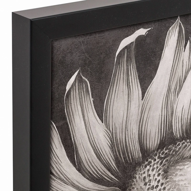 White Sketched Sunflower Black Framed Canvas