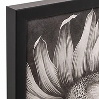 White Sketched Sunflower Black Framed Canvas