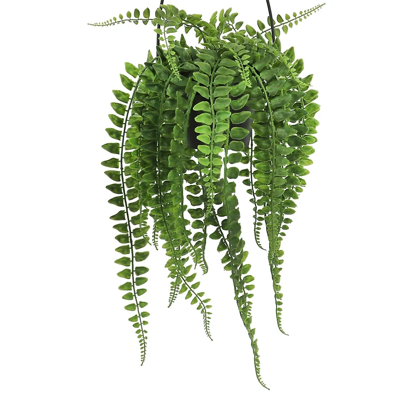 26" Hanging Boston Fern Potted Plant by Ashland®