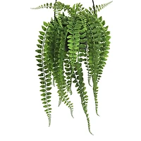 26" Hanging Boston Fern Potted Plant by Ashland®