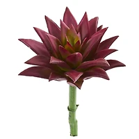 Burgundy Agave Succulent Pick, 12ct.