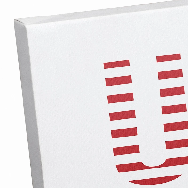 USA Sneaker Canvas Wall Art