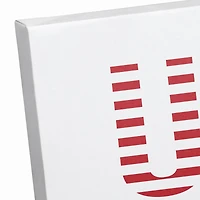 USA Sneaker Canvas Wall Art