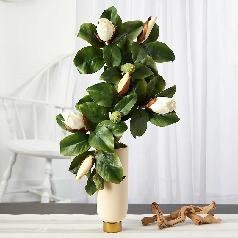3ft. Magnolia Plant in Cream Planter with Gold Base