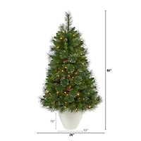 4ft. Pre-Lit Golden Tip Washington Pine with Pinecones Artificial Christmas Tree In White Planter, Clear Lights