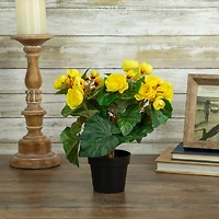 11" Yellow Potted Silk Begonia Floral Arrangement