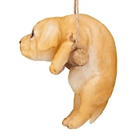 Design Toscano 8" Yellow Lab Puppy on a Perch Hanging Dog Sculpture