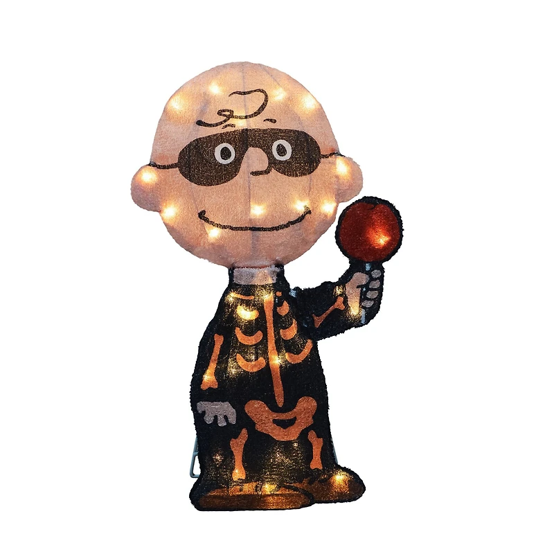 18" LED Peanuts Charlie Brown Bones Yard Art