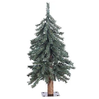 2ft. Unlit Natural Bark Alpine Artificial Christmas Tree