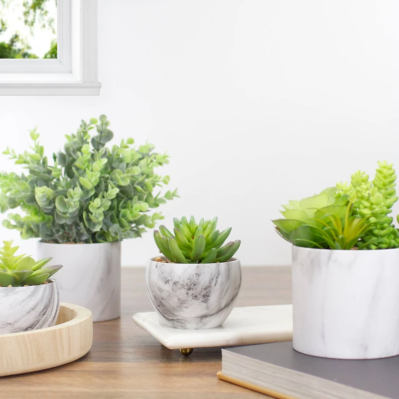 4.25" Green Succulent in Faux Marble Pot