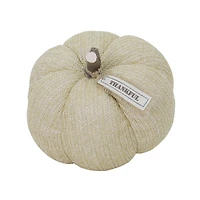 9" Natural Fabric Pumpkin Tabletop Décor by Ashland®
