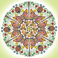 Diamond Dotz® Intermediate Kaleidoscope Garden Diamond Facet Art Kit