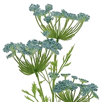 12 Pack: Blue Queen Anne's Lace Spray by Ashland®