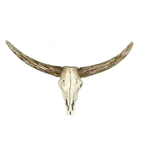 Hello Honey® Resin Steer Skull Wall Décor