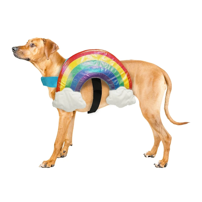 Best Furry Friends Rainbow Pet Costume