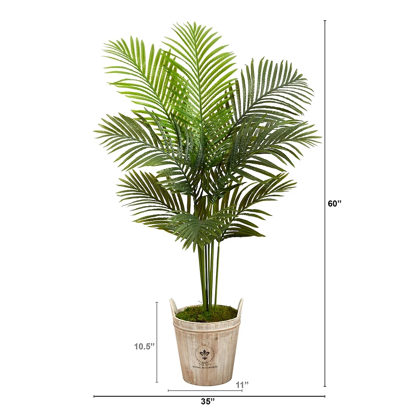 5ft. Paradise Palm Tree in Farmhouse Planter
