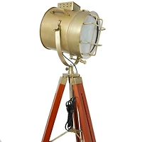 Brown Stainless Steel Spotlight Floor Lamp 31" x 31" x 68"