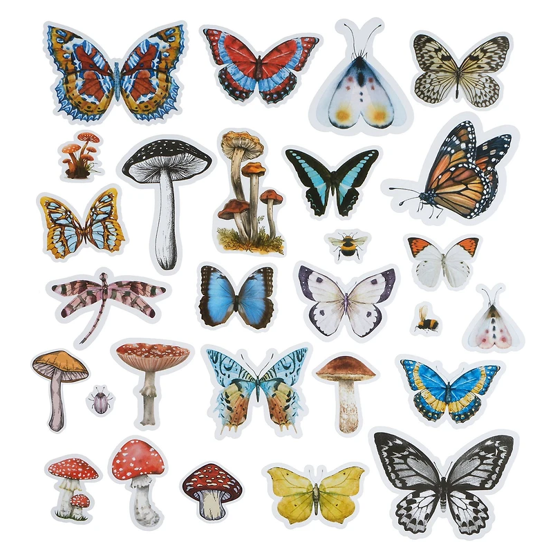 Nature Ephemera by Recollections™