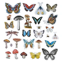 Nature Ephemera by Recollections™