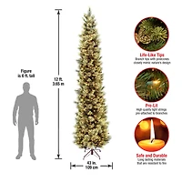 12ft. Pre-Lit Carolina Pine Artificial Christmas Tree, Clear Lights