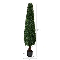 5ft. Potted Boxwood Cone Topiary Tree