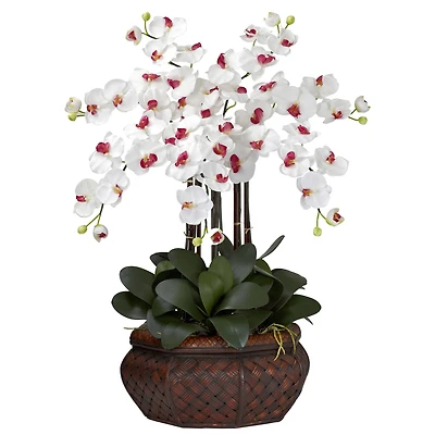 2.5ft. Moth Orchid Silk Flower Arrangement in Woven Planter