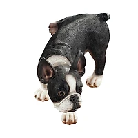 Design Toscano 12" Lifting a Leg Naughty Boston Terrier Dog Statue
