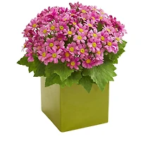 11" Daisy Arrangement in Green Vase