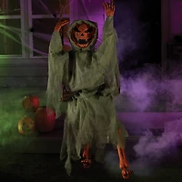 5ft. Swinging Dead Pumpkin Reaper by Ashland®