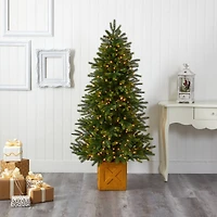 6ft. Pre-Lit Manchester Fir Artificial Christmas Tree, Clear LED Lights