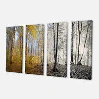 Designart - Yellow Morning in Forest Panorama