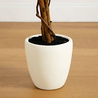 5ft. Artificial Fall Double Trunk Maple Autumn Tree in Decorative White Planter