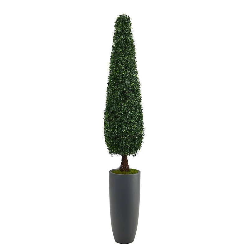 6ft. Boxwood Topiary in Tall Gray Planter