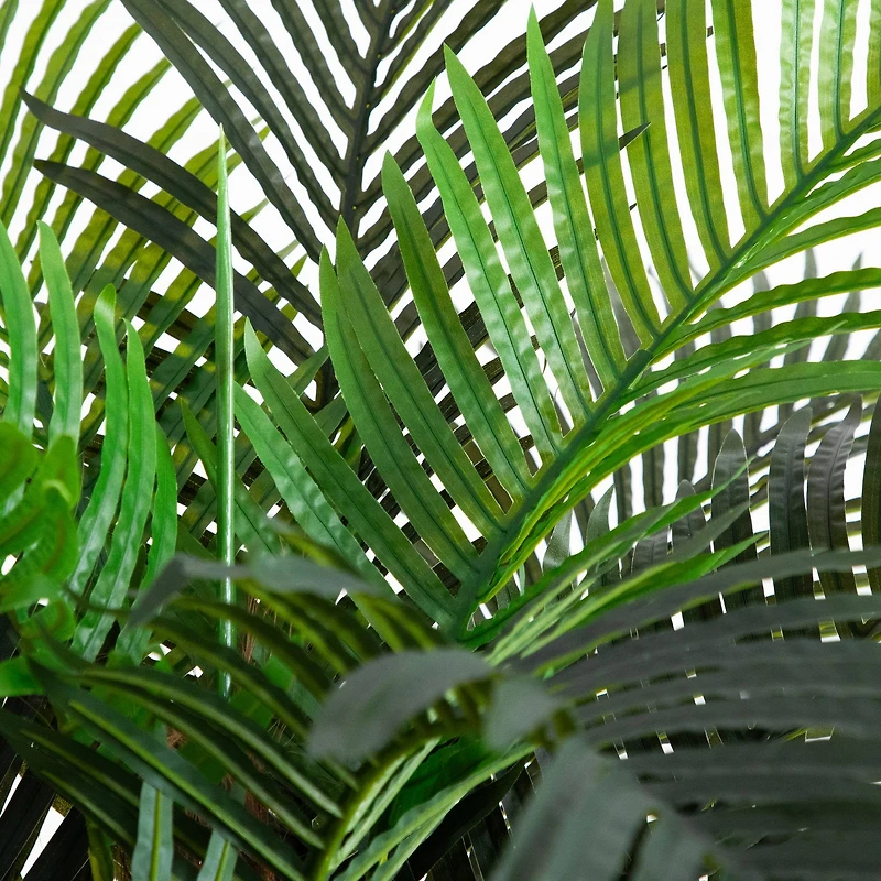 7ft. Potted Coconut Palm Tree