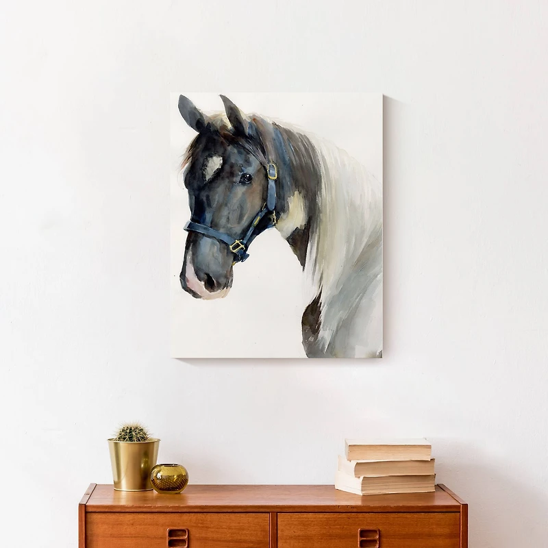 Painted Horse 16" x 20" Canvas Wall Art