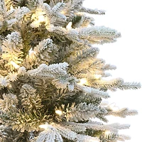 7.5ft. Pre-Lit Flocked Arctic Fir Potted Artificial Christmas Tree, White LED Lights