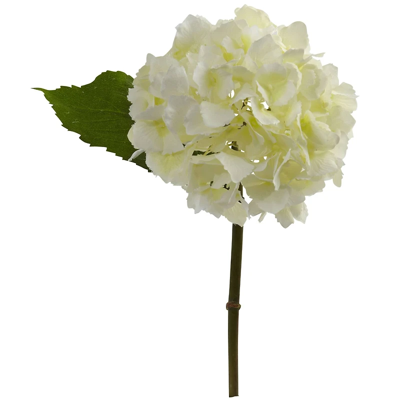 Hydrangea Stem