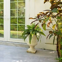 40" UV-Resistant Artificial Boston Ferns, 2ct.