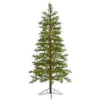 6.5ft. Pre-Lit Fairbanks Fir Artificial Christmas Tree, Clear LED Lights