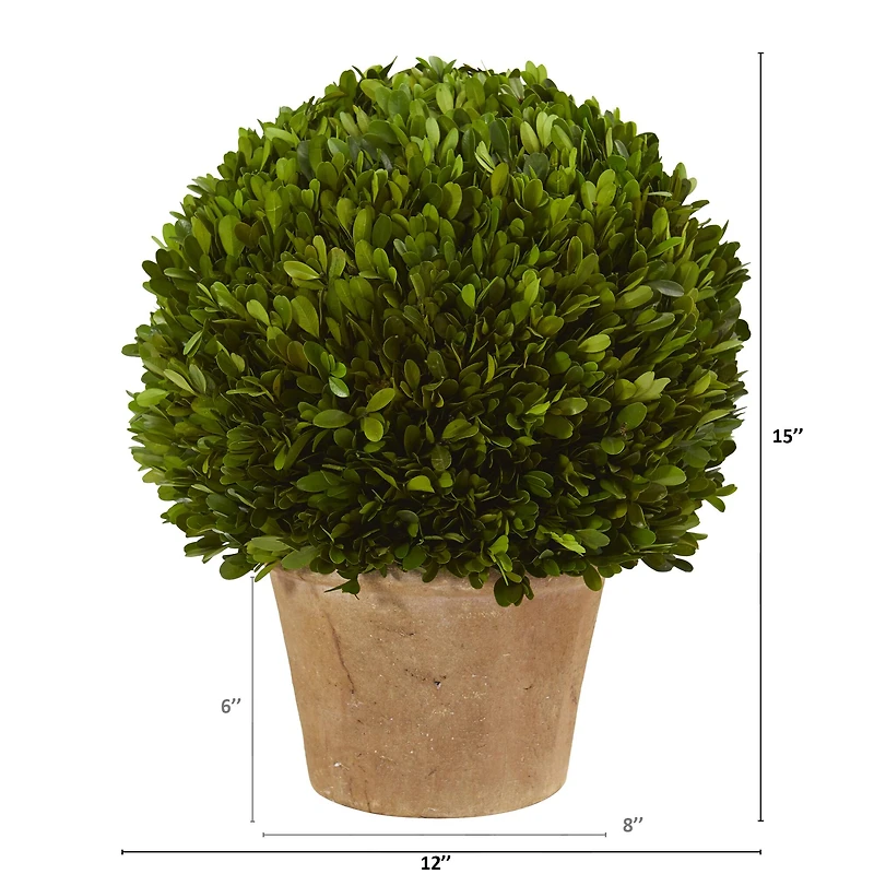 15'' Boxwood Ball Preserved Plant in Brown Planter